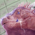 ނ炳